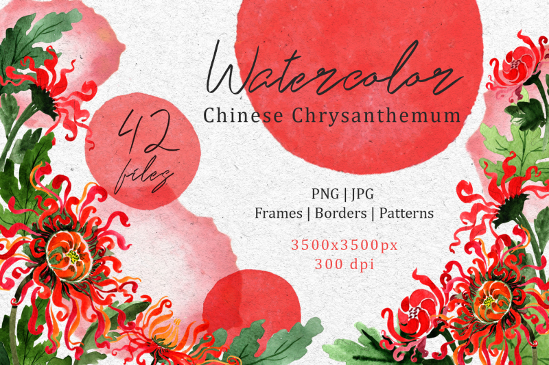 chinese-chrysanthemum-png-watercolor-set