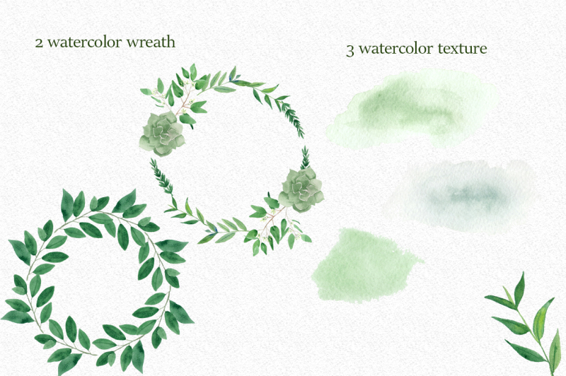 green-leaf-watercolor-clipart