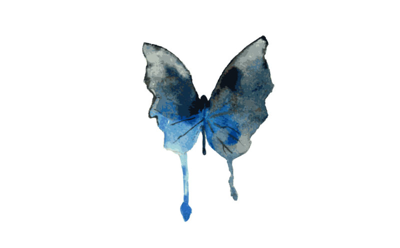 blue-butterfly