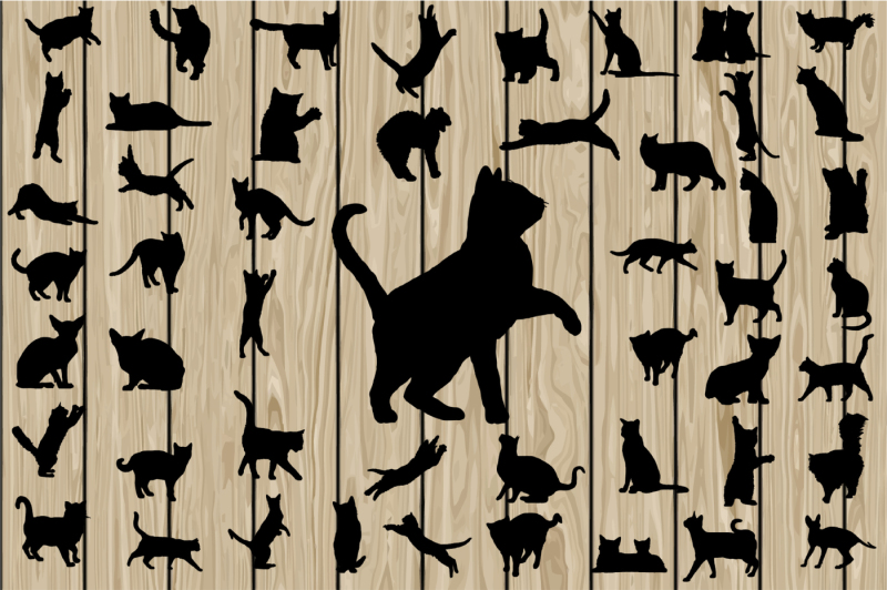 50-cat-svg-cat-silhouette-clipart-cat-vector-kitten-vinyl