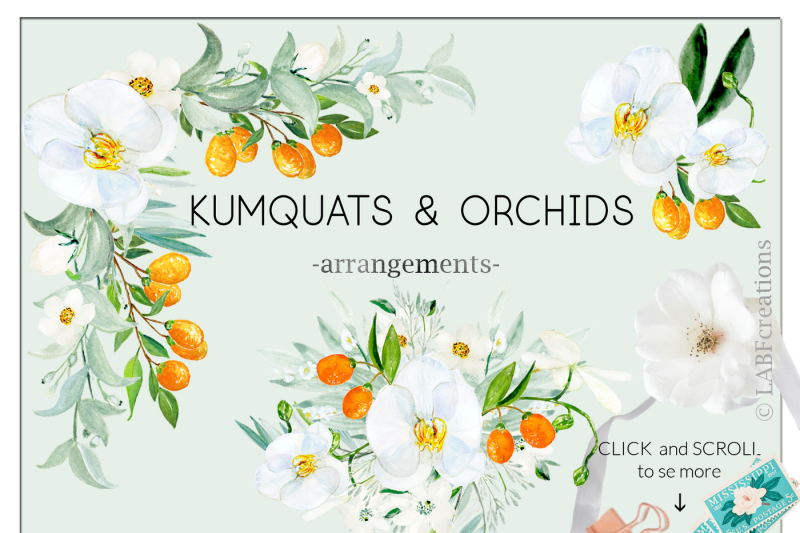 kumquat-and-white-orchids-watercolors-clipart-collection