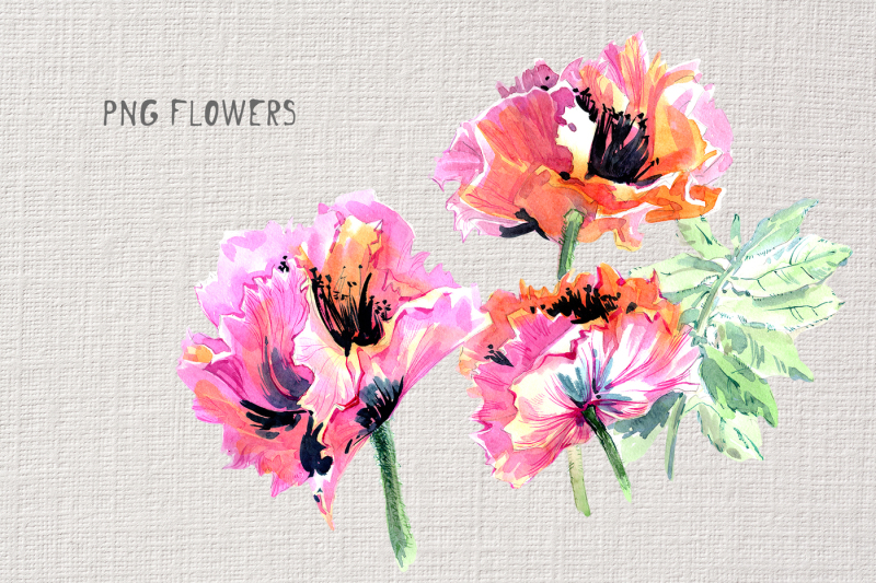 gentle-poppies-png-watercolor-set