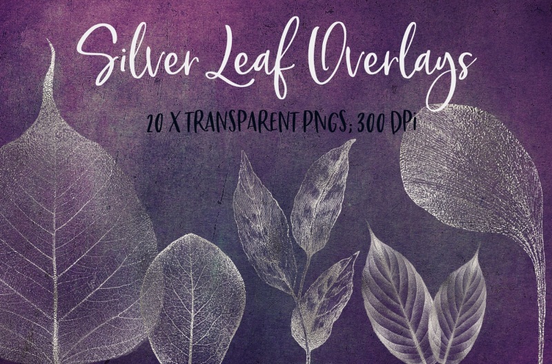 silver-leaf-veins-clipart
