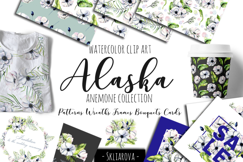 alaska-big-anemone-collection