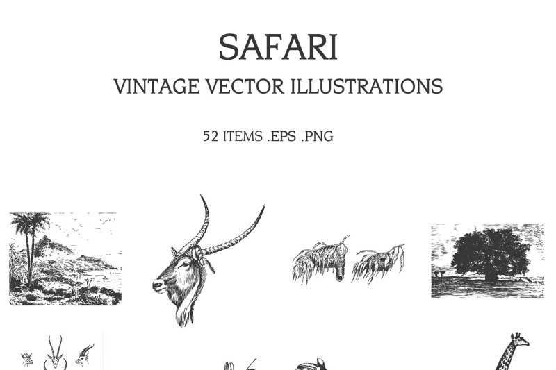 Vintage Vector Illustrations Bundle Multiple Categories 1391 Item By Est1987co Thehungryjpeg Com