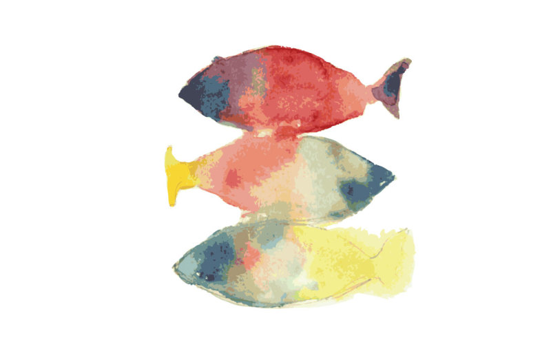 colorful-fishes
