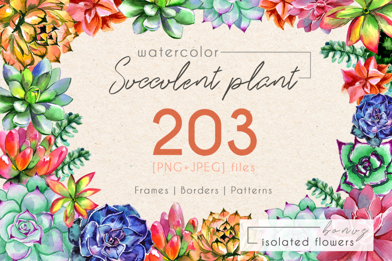 succulent-plant-png-watercolor-set