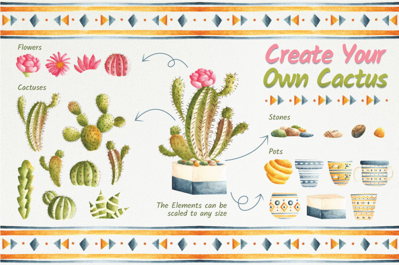 oh-dear-cactus