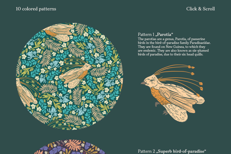 bird-of-paradise-patterns