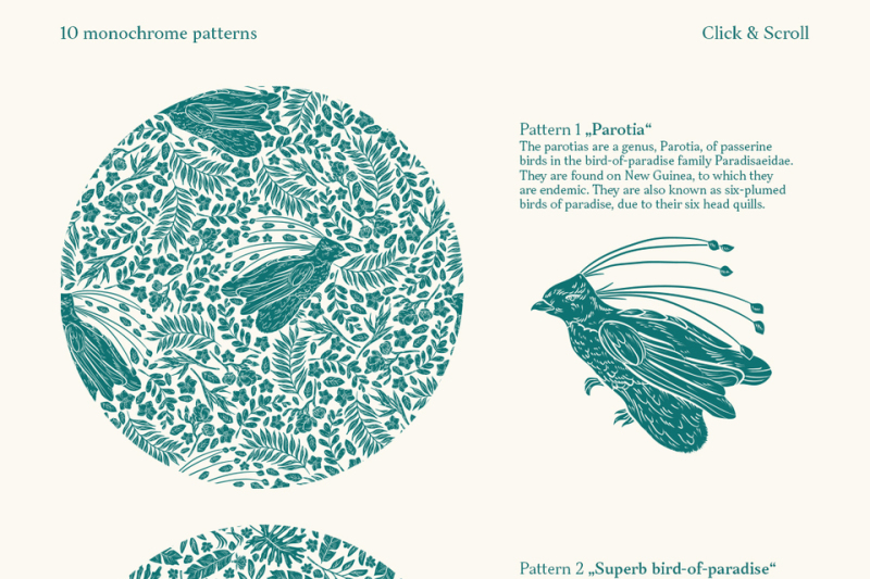 bird-of-paradise-patterns