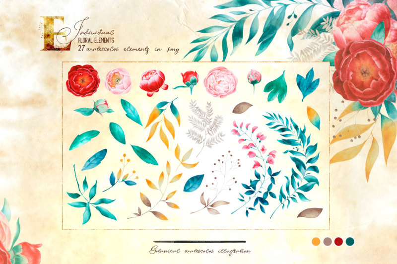vintage-peony-big-collection-of-watercolor-clipart-and-vector-graphic