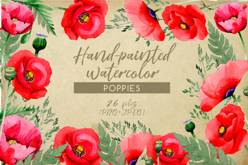 hand-painted-poppies-png-watercolor-set