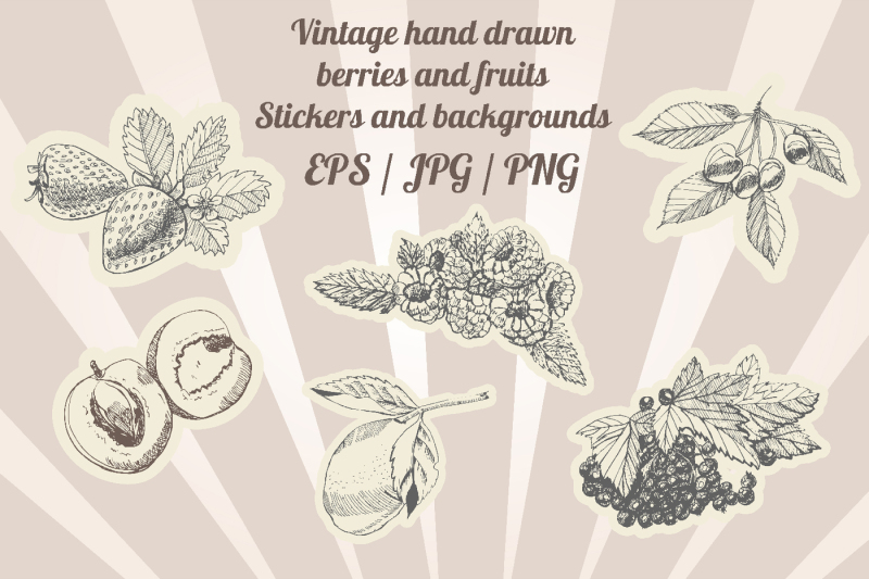 bundle-with-sketches-of-vintage-berries-and-fruits-background-and-st