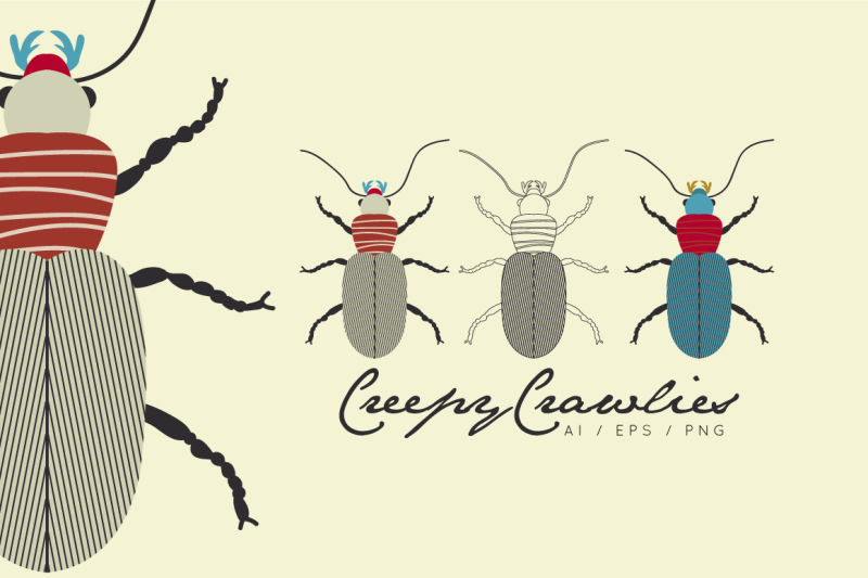 Creepy Crawlies Clipart Set By illuztrate | TheHungryJPEG.com