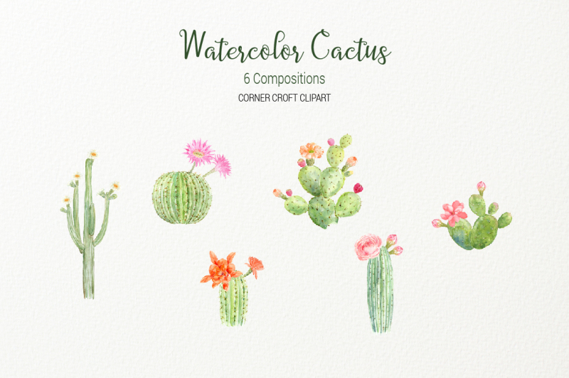 watercolor-clipart-cactus-for-instant-download