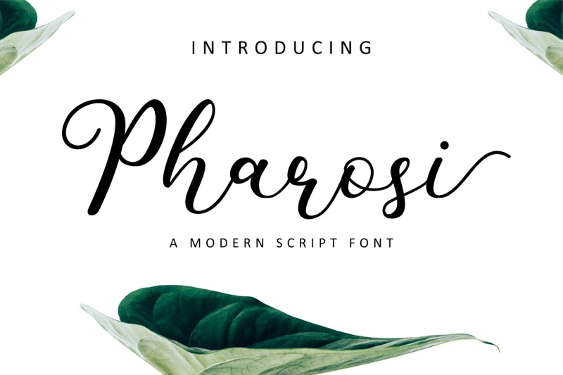 pharosi-a-modern-script-font