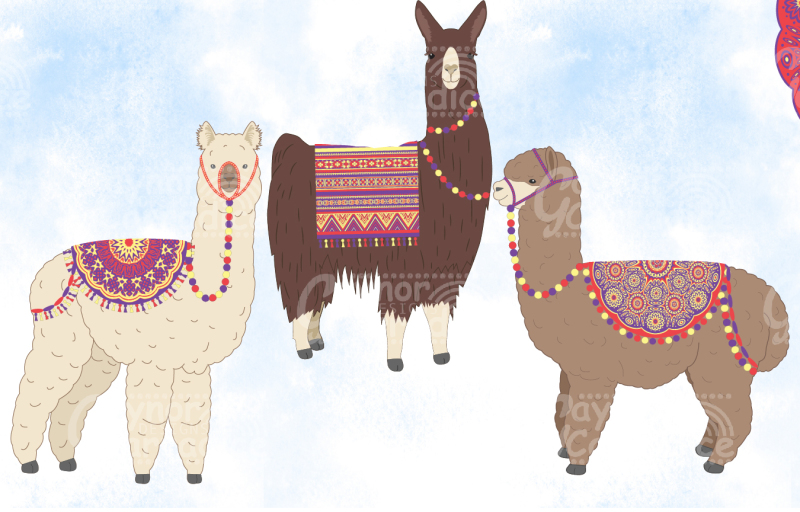 llama-and-alpaca-collection