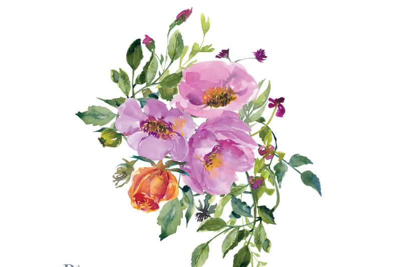 Watercolor Wild Roses Clip Art Set Hand Painted Bouquets By Patishop ...