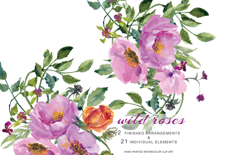 watercolor-wild-roses-clip-art-set-hand-painted-bouquets