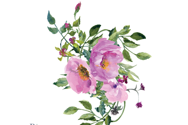 Watercolor Wild Roses Clip Art Set Hand Painted Bouquets By Patishop ...