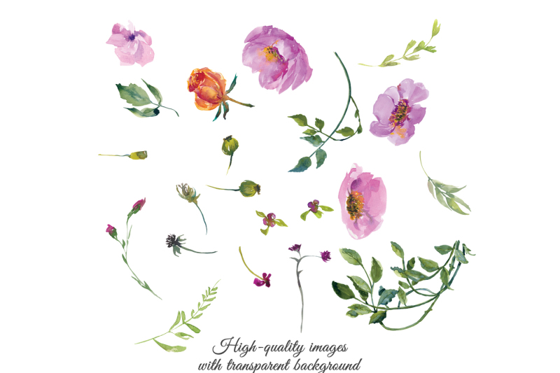 watercolor-wild-roses-clip-art-set-hand-painted-bouquets