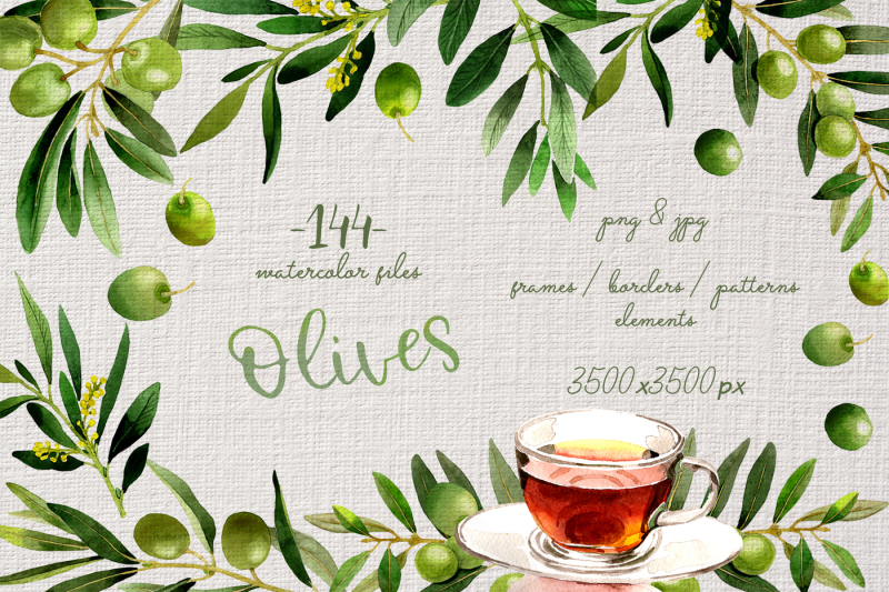 branches-of-olive-tree-png-watercolor-set