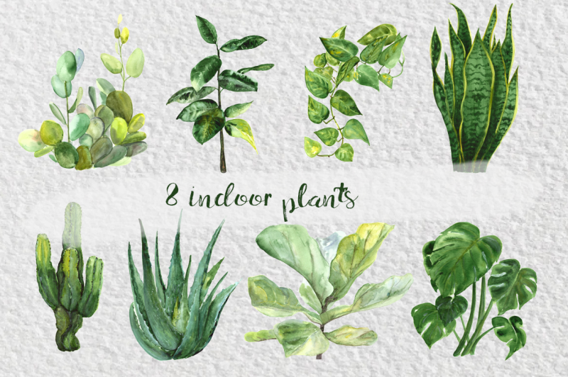 watercolor-indoor-plants-clip-art-set