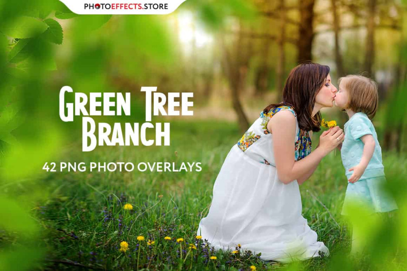 42-green-tree-branch-photo-overlays