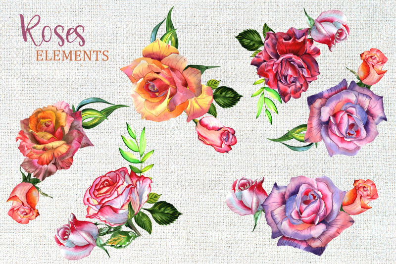 wonderful-roses-png-watercolor-flower-set