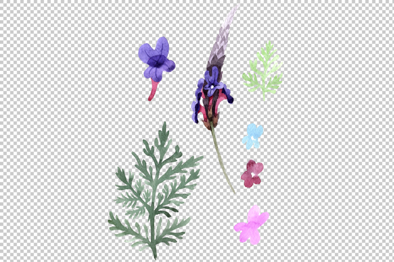 violet-lavender-png-watercolor-set