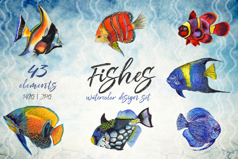 sea-fishes-png-watercolor-set