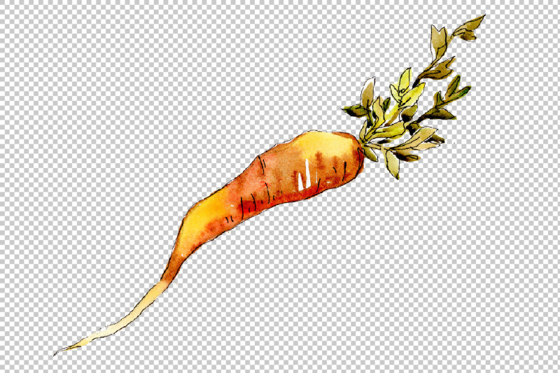 orange-carrot-png-watercolor-vegetables-set