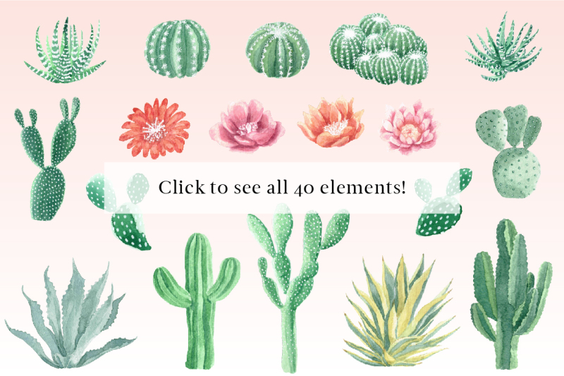 watercolor-cactus-and-succulents-collection