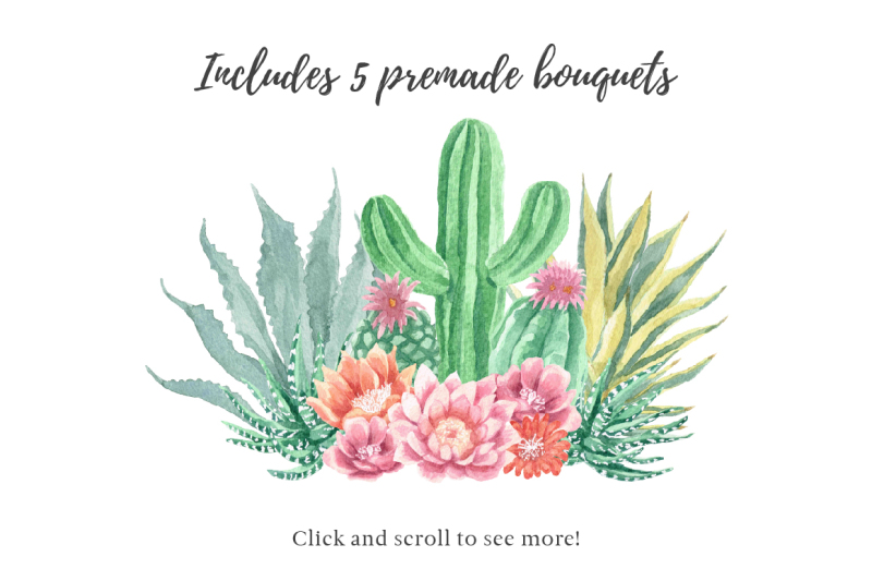watercolor-cactus-and-succulents-collection