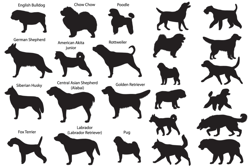 dog-show-silhouettes