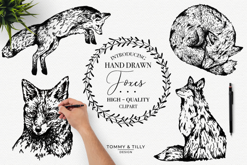 hand-drawn-foxes-bundle-clipart-pngs