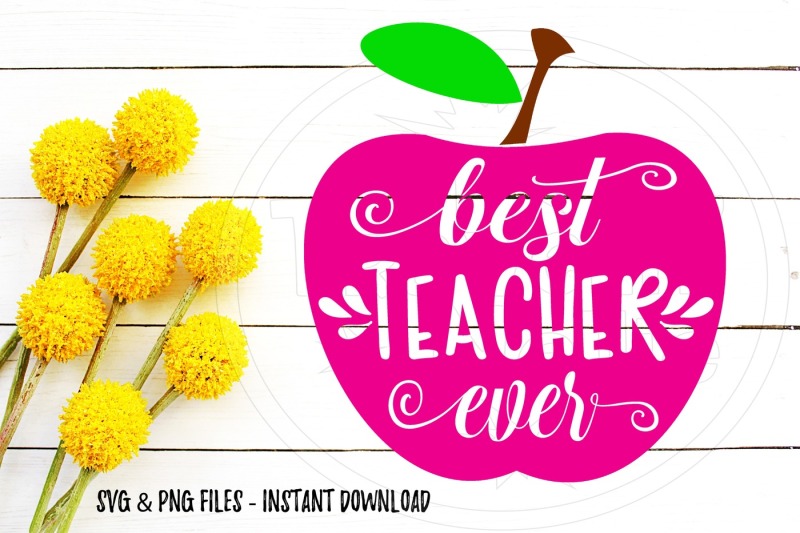 Download Best Teacher Ever Apple SVG Print Cut Image Files Cameo Cricut By Travelin' Nellie ...