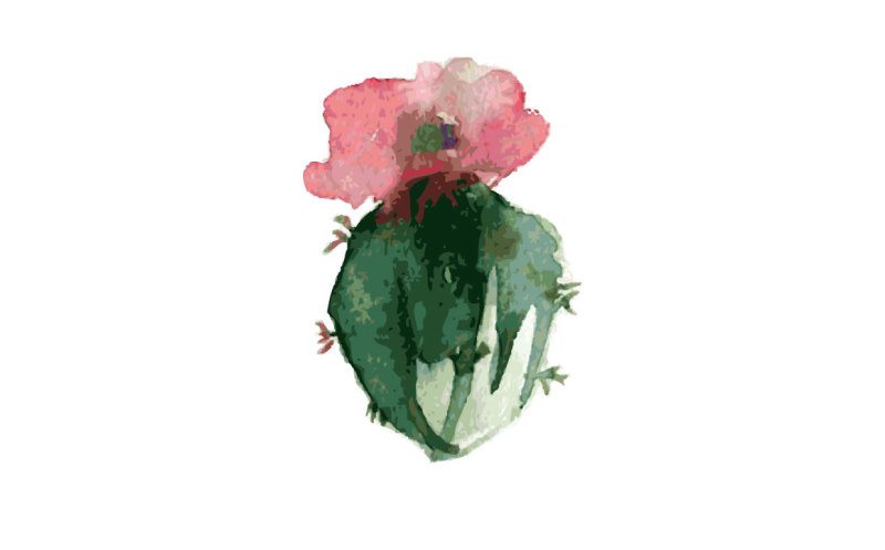cactus-watercolor