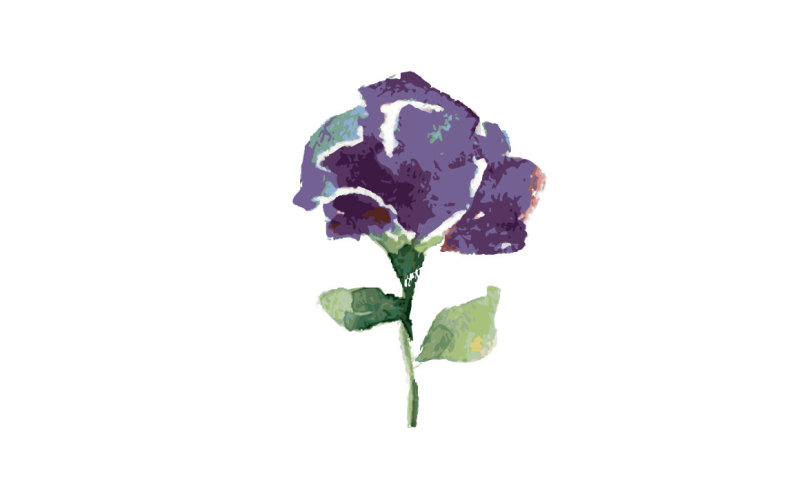 lilac-flower-watercolor