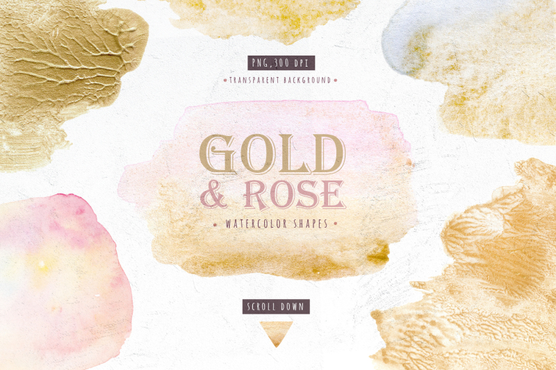dreams-collection-gold-protea