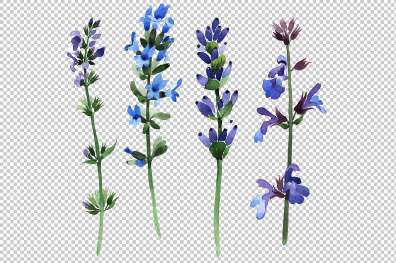 purple-lavender-watercolor-png-set