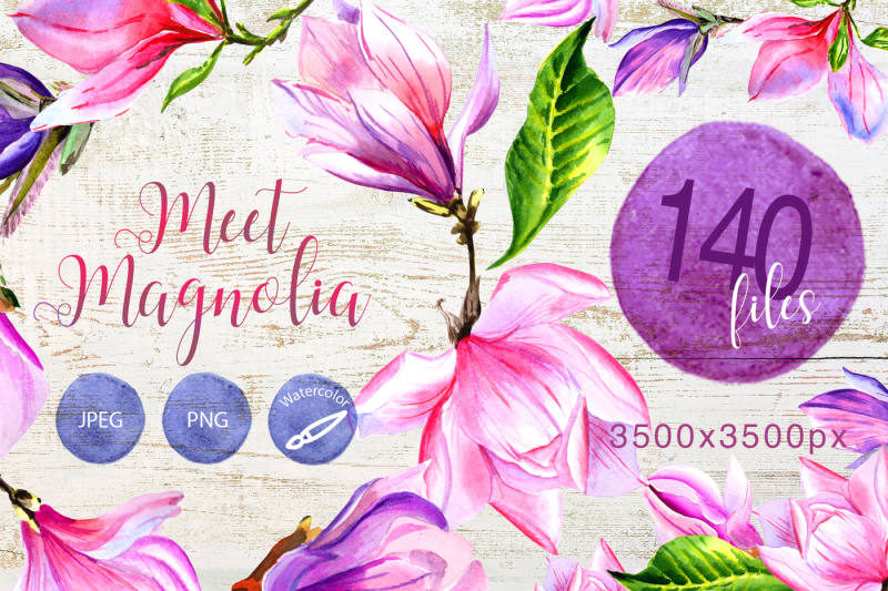 meet-magnolia-png-watercolor-flower-set