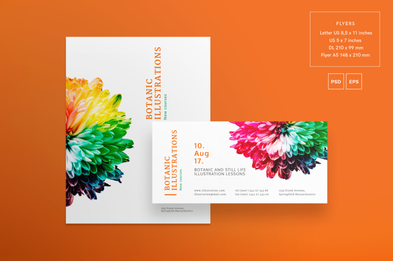 design-templates-bundle-flyer-banner-branding-illustration-lessons