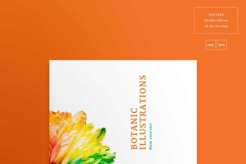 design-templates-bundle-flyer-banner-branding-illustration-lessons