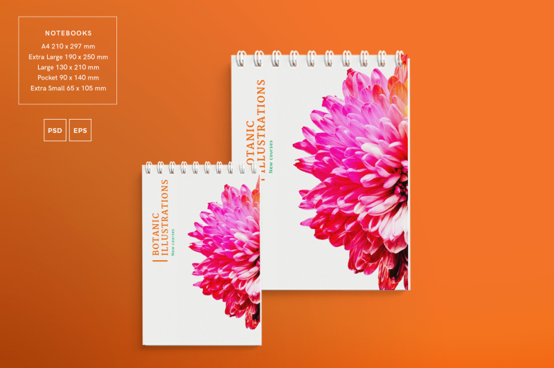 design-templates-bundle-flyer-banner-branding-illustration-lessons