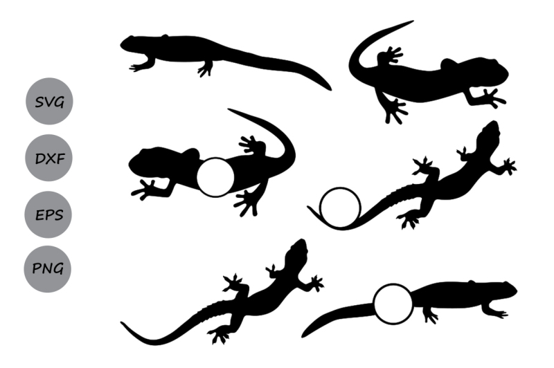 salamander-svg-salamander-monogram-svg-lizard-svg-reptile-svg