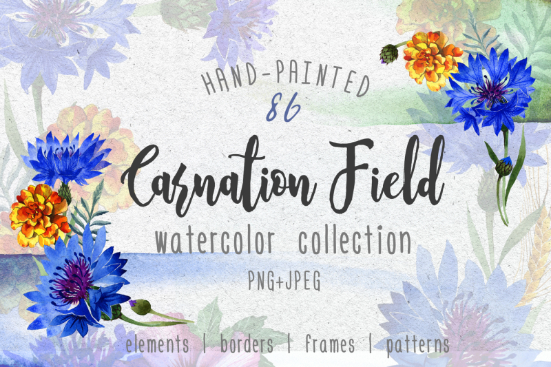 carnation-field-png-watercolor-set
