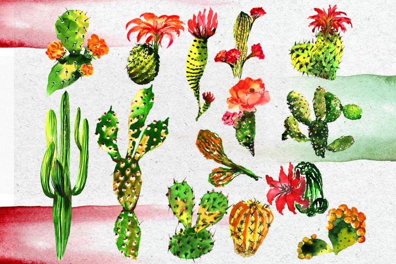 aquarelle-green-cactus-png-set