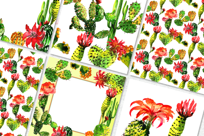aquarelle-green-cactus-png-set