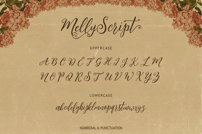Melly Script Font Duo By Cruzine Design Thehungryjpeg Com